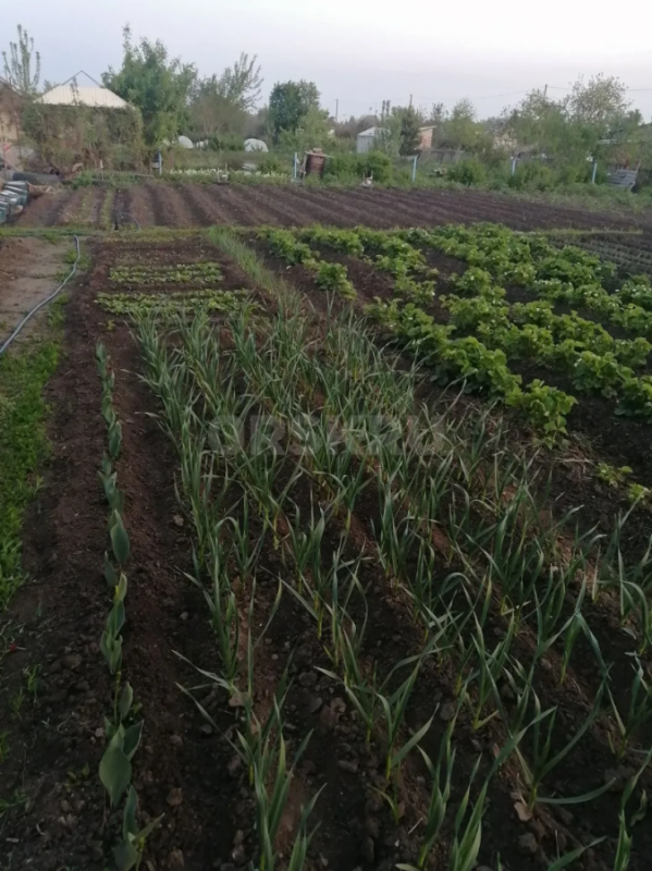 Продаётся земельный участок площадью 9 соток в СНТ ОНОС (старый город). - Орск