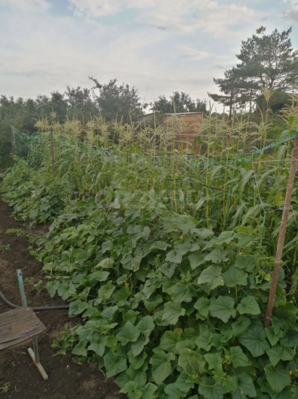Продаётся земельный участок площадью 9 соток в СНТ ОНОС (старый город). - Орск