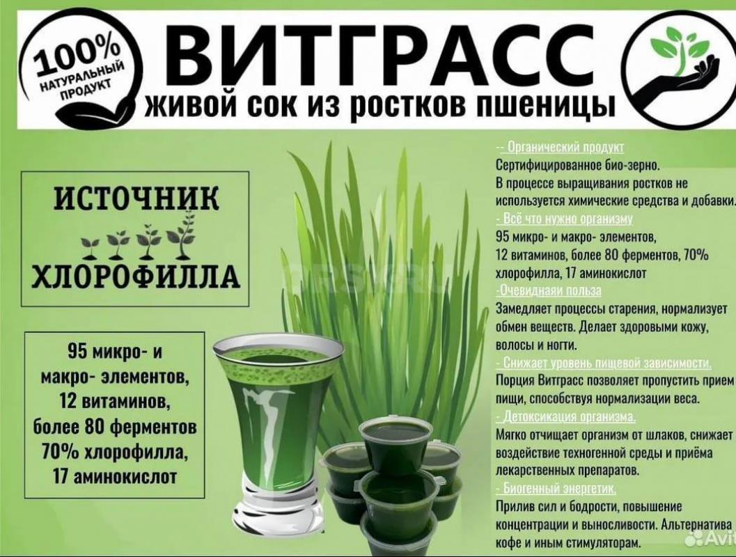 ВИТГРАСС – сок ростков пшеницы  Натуральный источник макро- и микроэлементов! - Новоорск