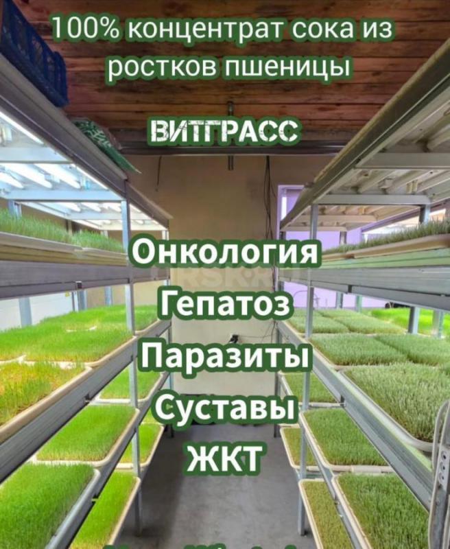 ВИТГРАСС – сок ростков пшеницы  Натуральный источник макро- и микроэлементов! - Новоорск