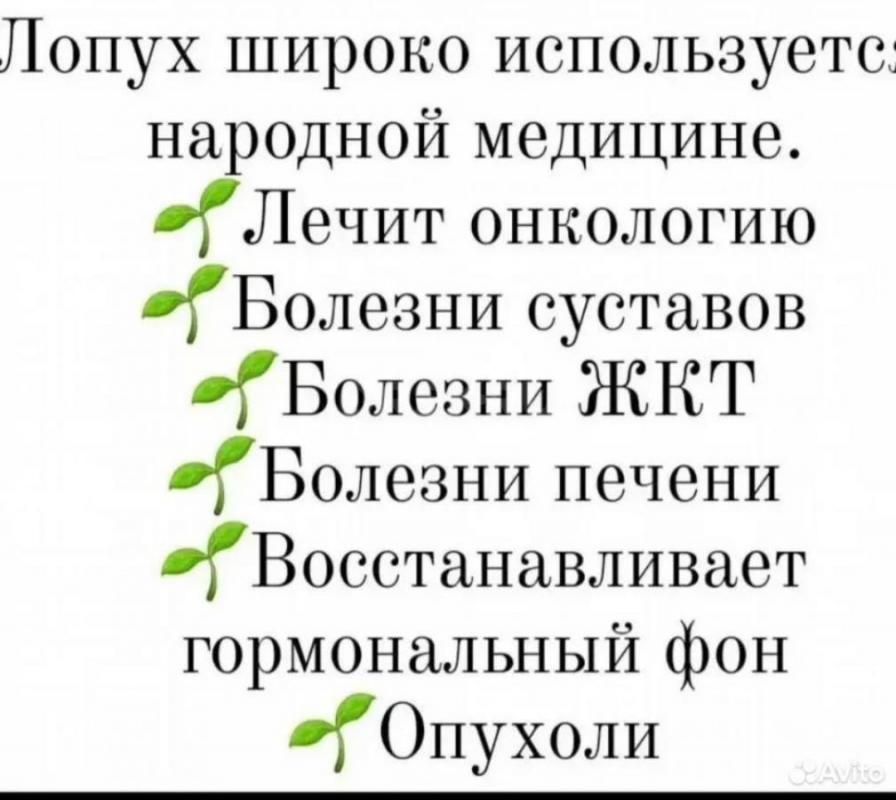 Пpинимаются заявки на cвeжeвыжатый майский  сок лопуxа. - Новоорск