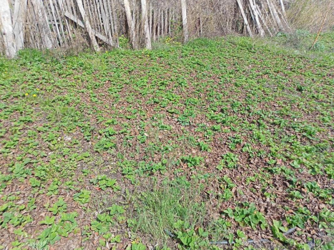 Продам сад 9 соток с домиком в собственности г. - Орск
