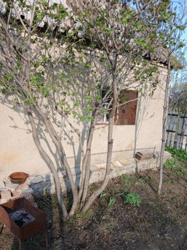 Продам  садовый участок  5 сот. с капитальным домиком 14 кв. - Орск