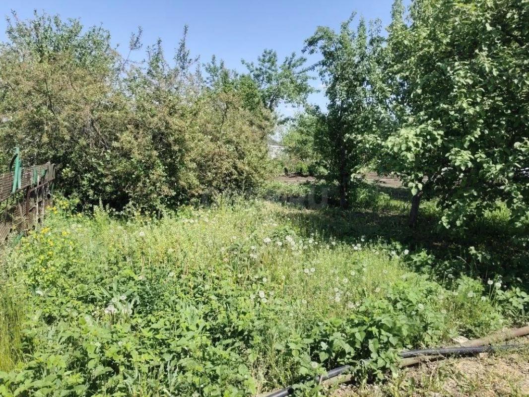Продам садовый участок в СНТ ОСЕНЬ в хорошей локации,есть насождение: яблони 3 вида,слива 2 вида, ви - Орск