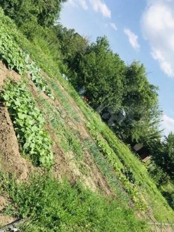 Продам садовый участок 9,5 соток. - Орск