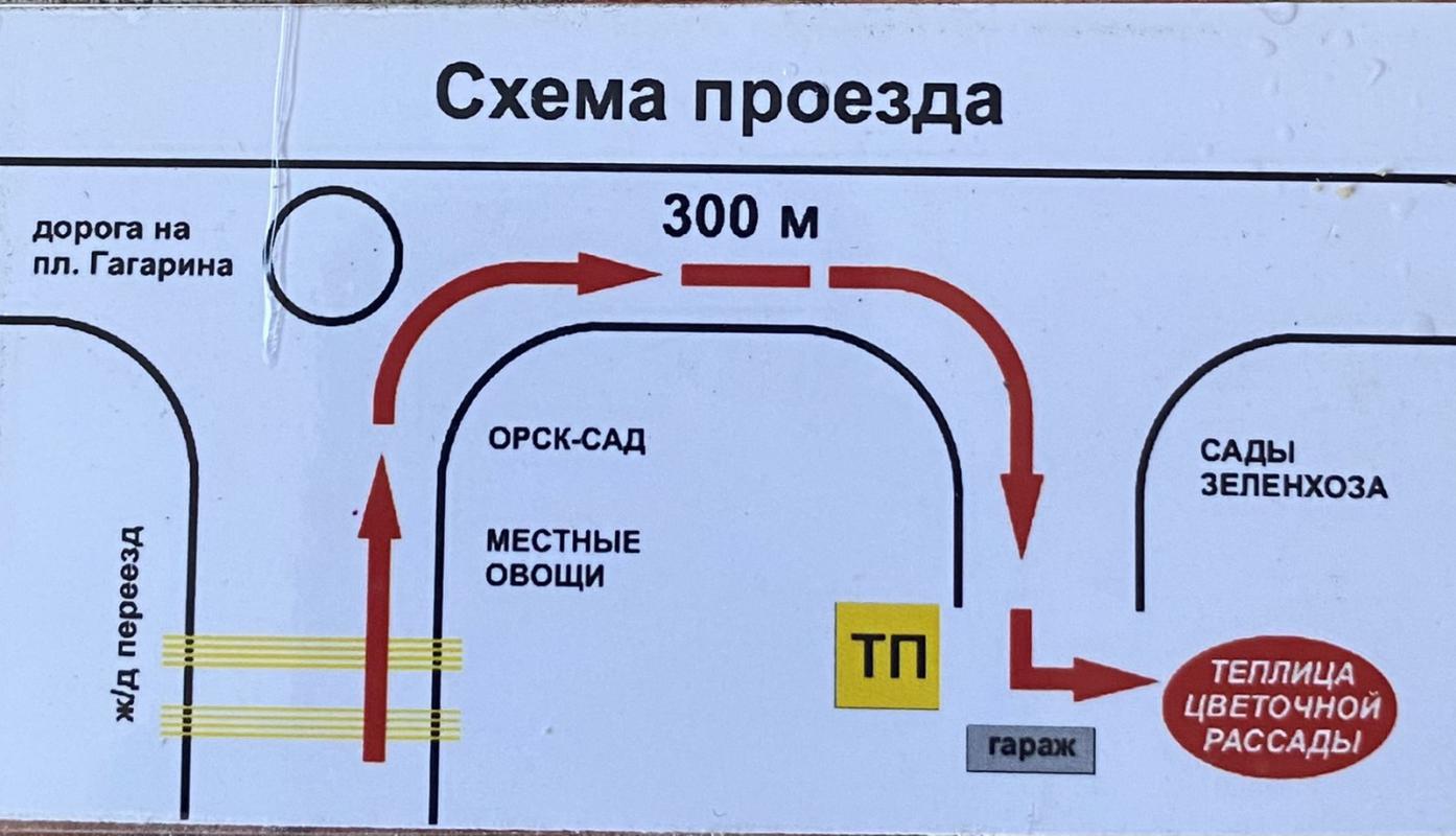 Продам рассаду цветочную: петунью крупноцветковая, суперкаскадная, бархатцы   дискавери  оранжевые и - Орск