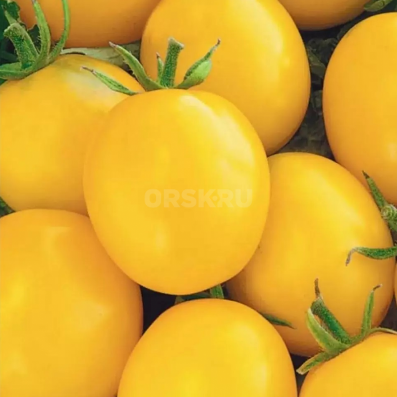 Продам рассаду томатов из ОТКРЫТОГО ГРУНТА:
бычье сердце конфетное дерево, волгоградский, жёлтые, р - Орск