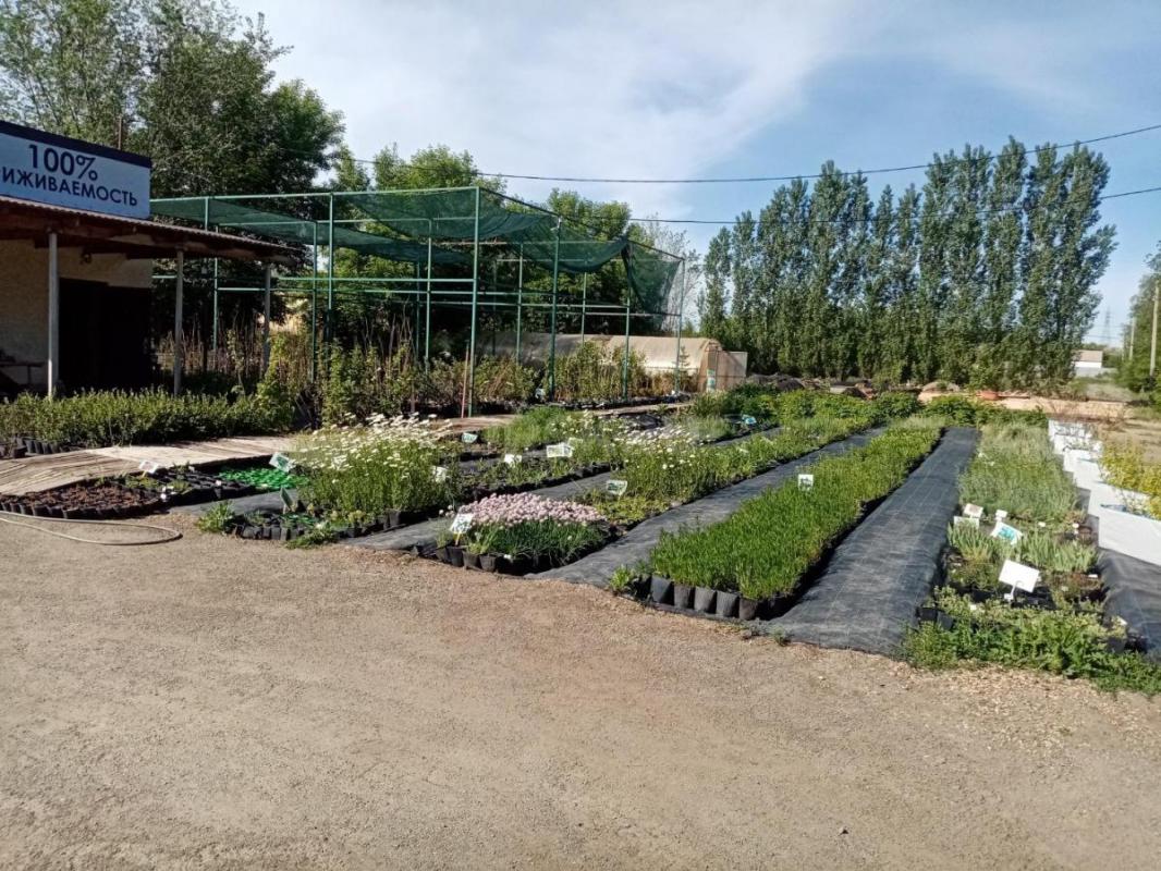 Требуется сторож в питомник растений ОРСКСАД. - Орск