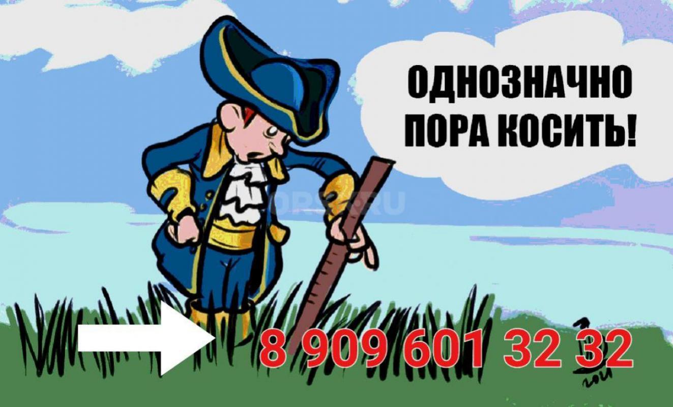 Ищу подработку по покосу травы (тример свой) - Орск
