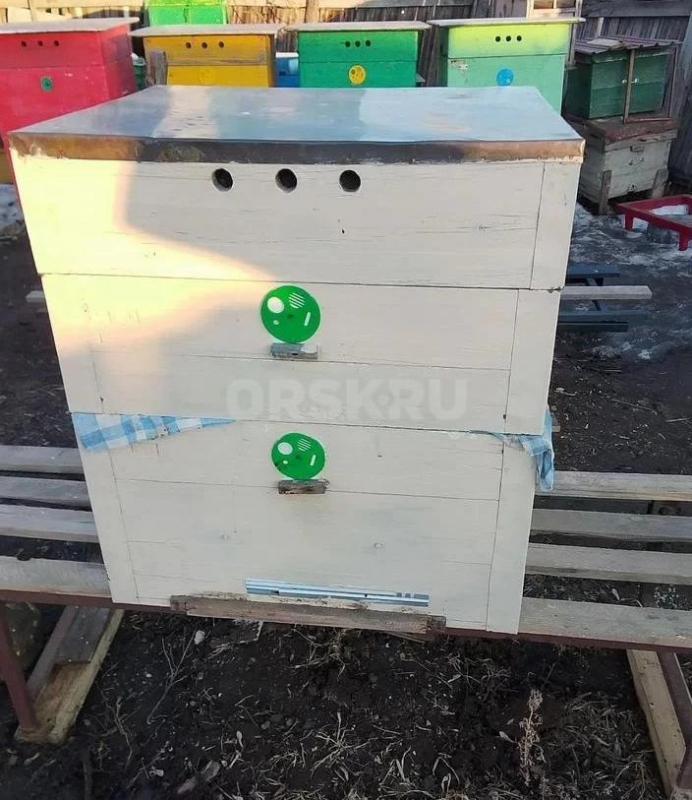 Продам улья. 
12 рамочные ( 2 корпуса) и 16 рамочные ( с магазином) . - Орск
