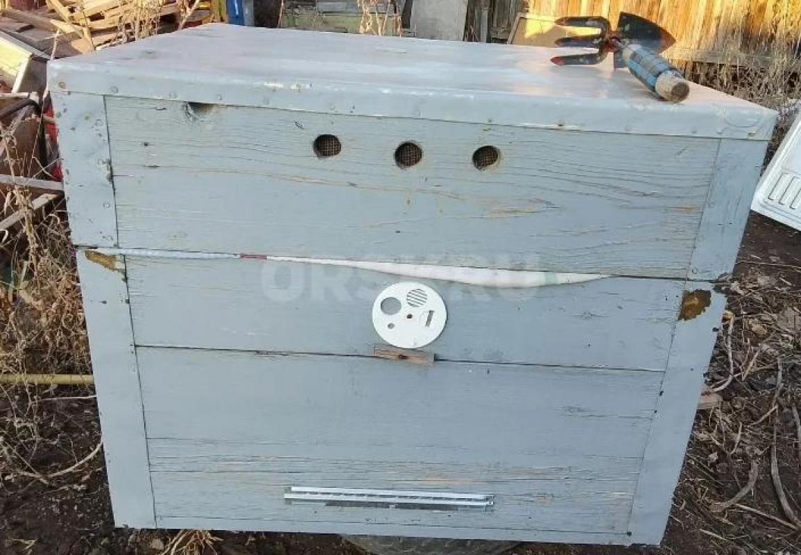 Продам улья. 
12 рамочные ( 2 корпуса) и 16 рамочные ( с магазином) . - Орск