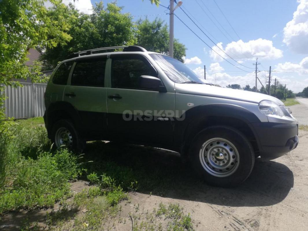В родном окрасе! - Адамовка