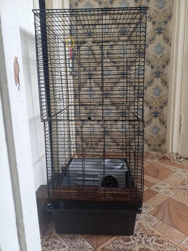Продам большую клетку для грызунов и птиц, размеры 900х580х400,торга нет. - Орск