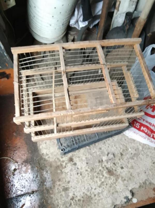 Продам клетку для птиц и других животных. - Орск