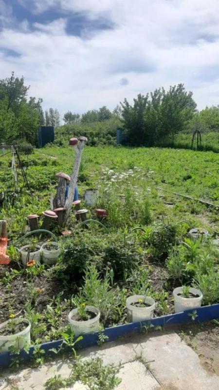 Продаётся сад 6.9 сот. со всеми постройками. - Орск
