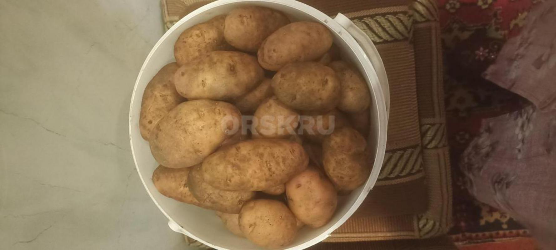 Клубника садовая 400р/кг, картофель домашний,рассыпчатый (мякоть белая) 35р/кг,
район пл. - Орск