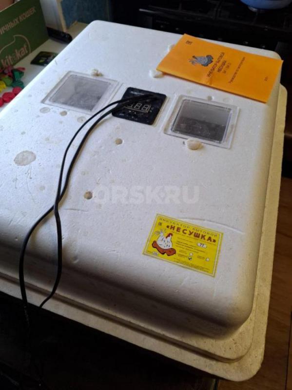 Продам автоматический инкубатор бытовой Несушка. - Орск