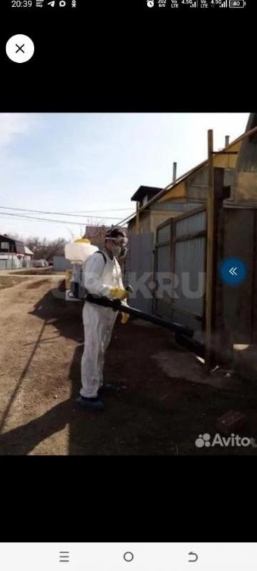 Дезинфекция - Орск