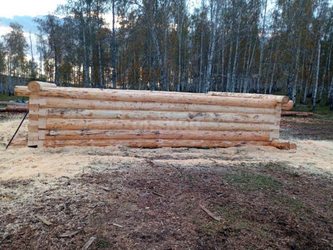 Срубы из сосны любых размеров в наличии и под заказ. - Орск