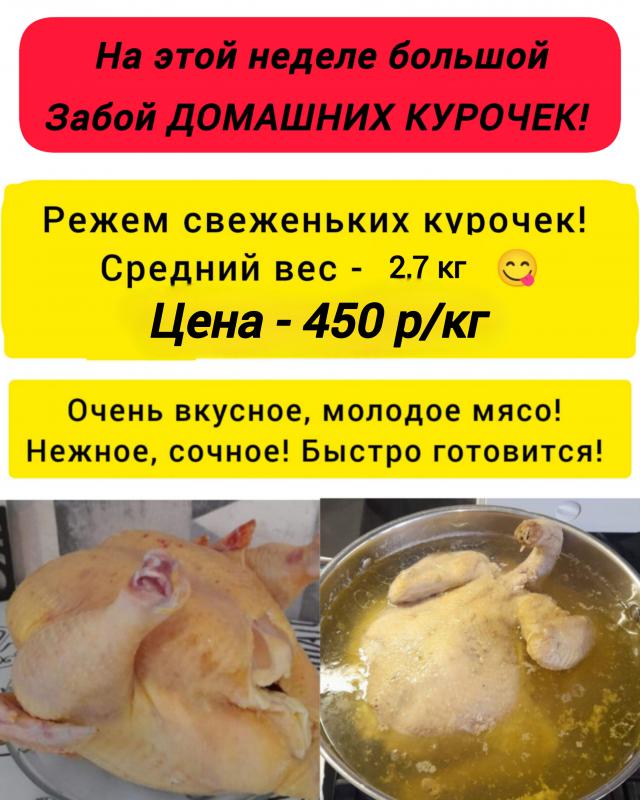 Домашние куры желтенькие, жирненькие - 450 р/кг , утки мясные, жирные, средней жирности - 650 р/кг , - Орск