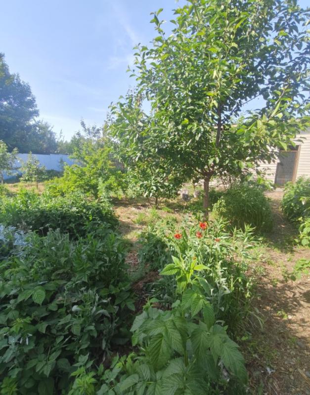 Продаем дом 124,5 кв. - Орск
