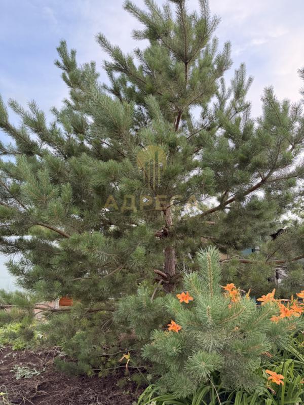 Продается дача в СНТ " КАСКАД", уч., №221, рядом с п. - Каскад