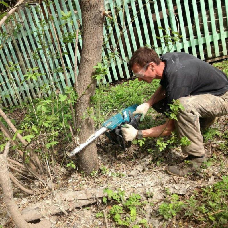 8-905-845-04-03 ПОКОС ТРАВЫ, СПИЛ ДЕРЕВЬЕВ, ОПИЛОВКА
РАСЧИСТКА УЧАСТКА
Опытная команда профессиона - Орск