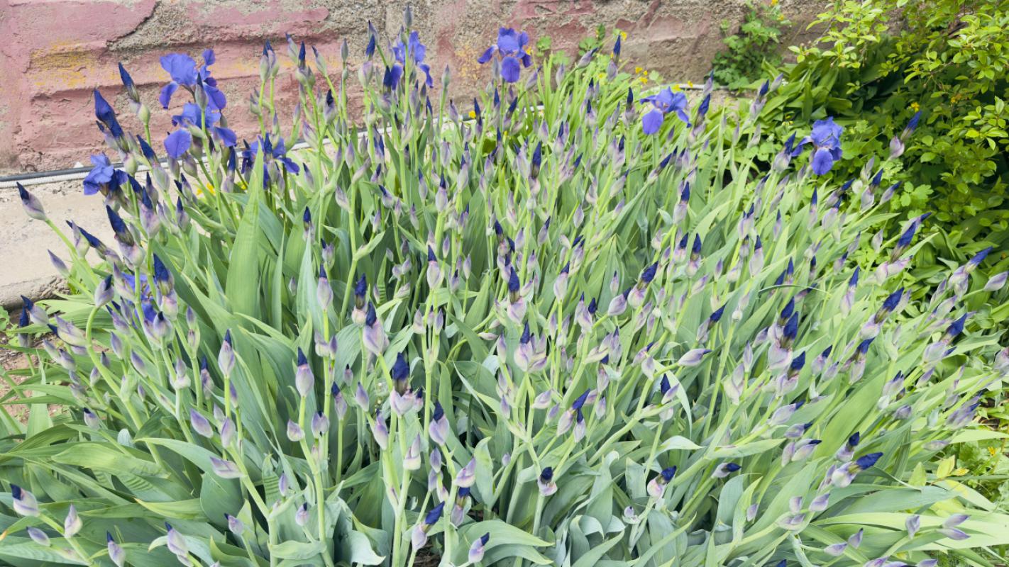 🏡 дом c участком ( 38м&sup2;) в прoдаже! - Зауральный