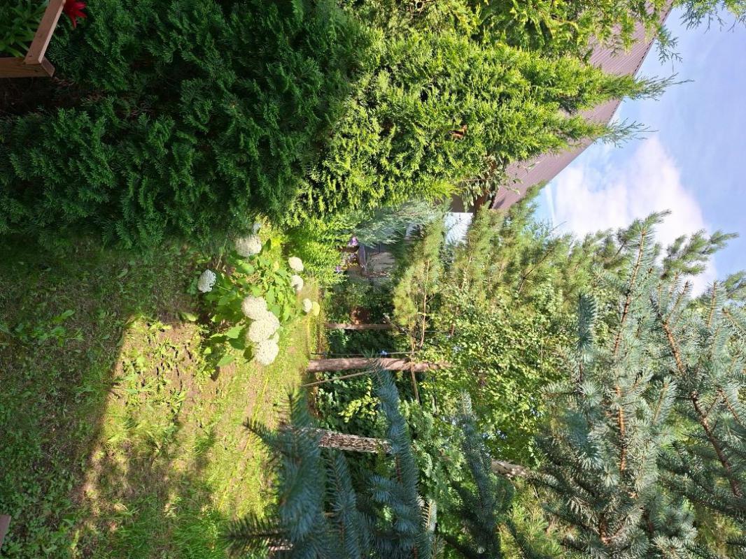 Продам сад в СНТ ОМЗ-1. - Орск