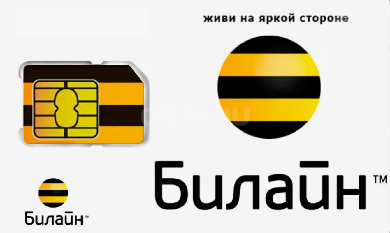 Продам городской номер Билайн: 33-01-32

Номер легкий и запоминающийся в федеральном формате будет - Орск