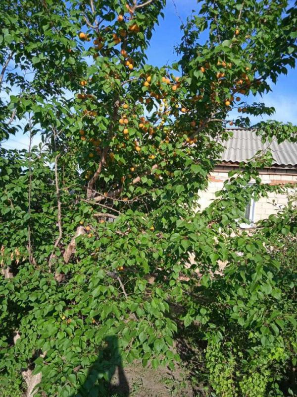 Мечтаете о собственном доме, где можно наслаждаться тишиной и природой, но при этом иметь все необхо - Крыловка