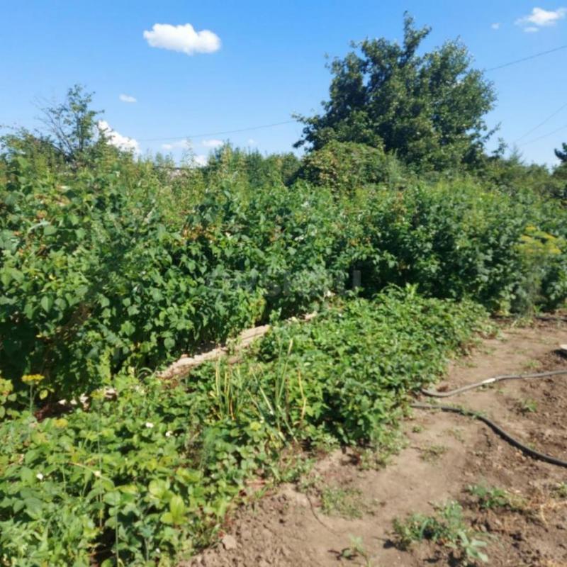 Продаётся ухоженный садовый участок 6 соток в СНТ 3 ЮУМЗ. - Орск
