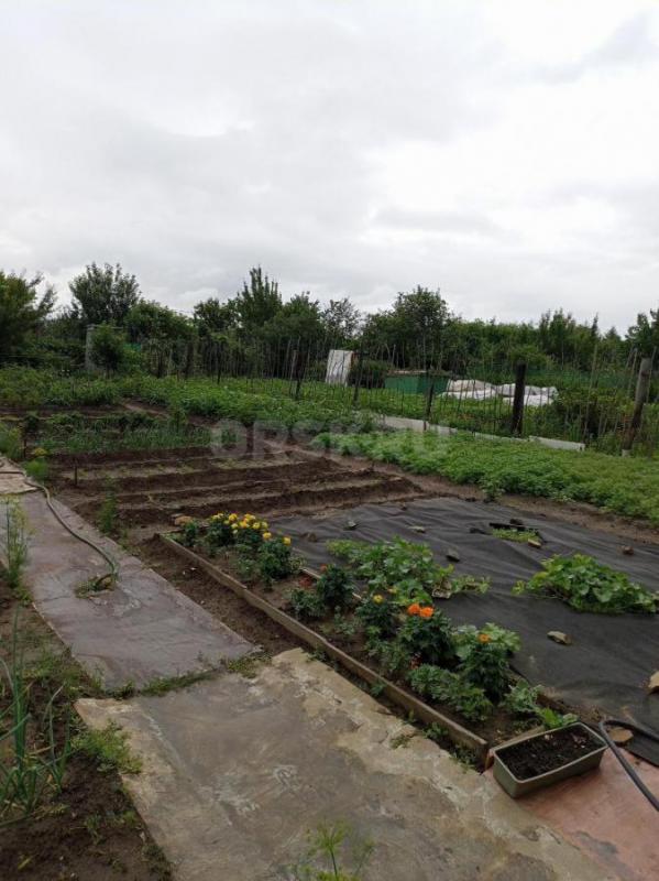 Продам сад ОНОС. 7соток домик хоз блок свет вода все насаждения. - Орск