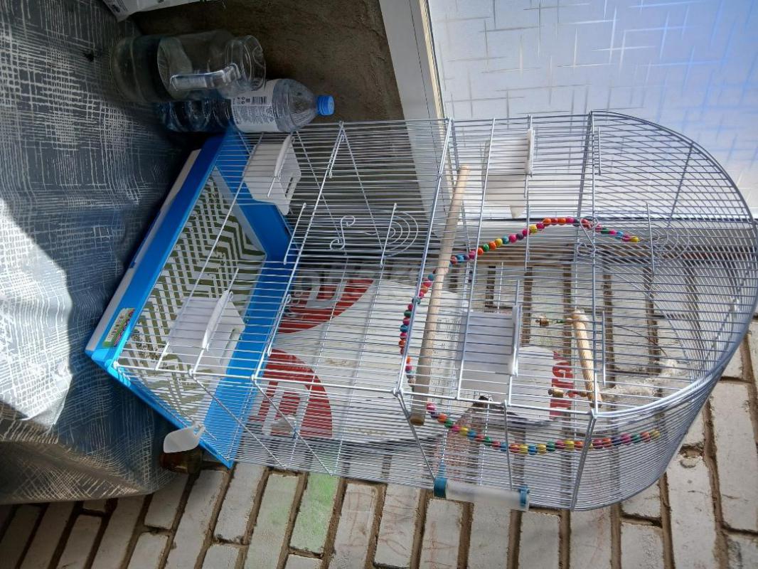 Продам клетку для попугаев большая. - Орск