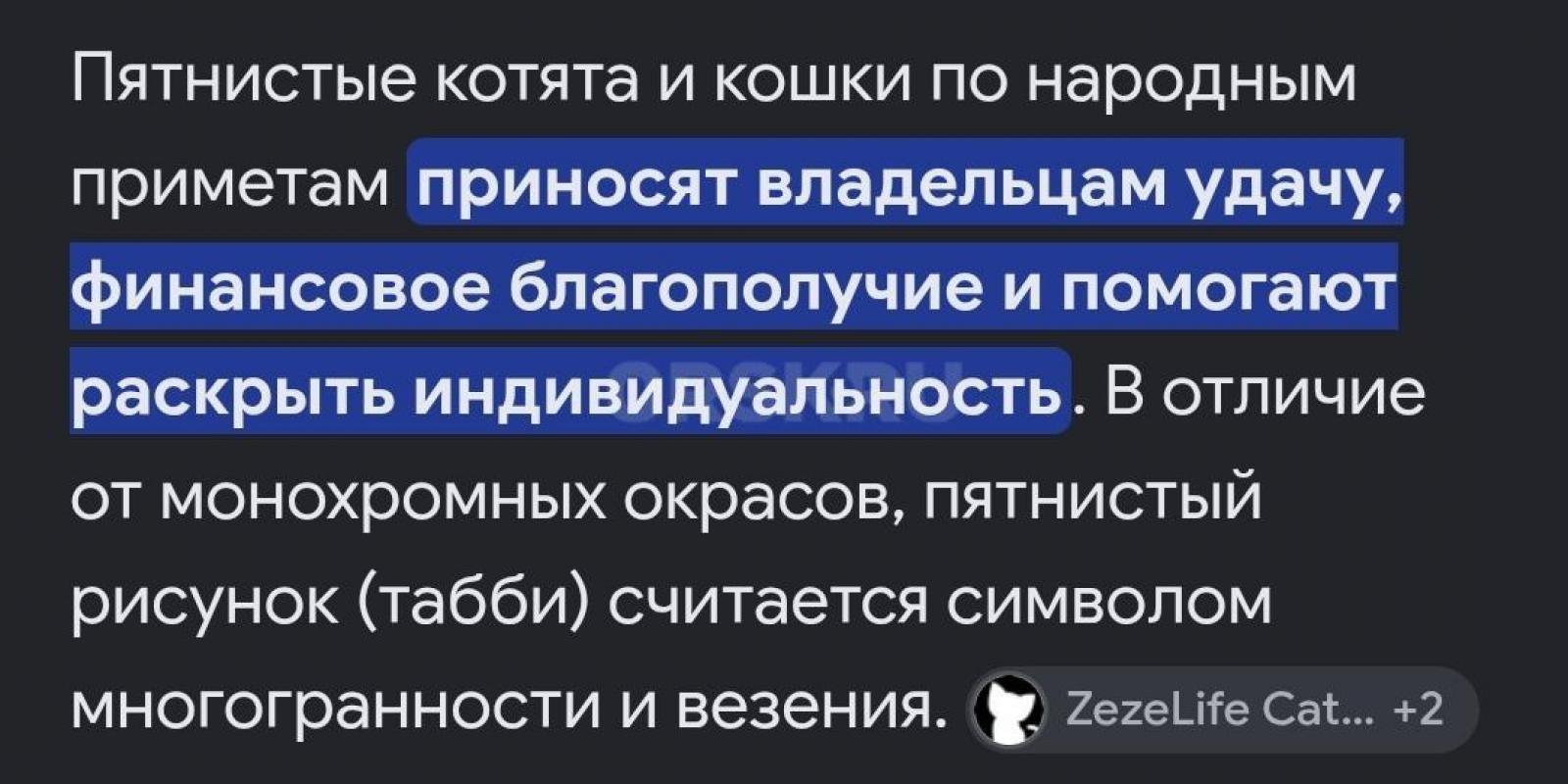 Отдам игривую кошечку  в добрые руки. - Орск