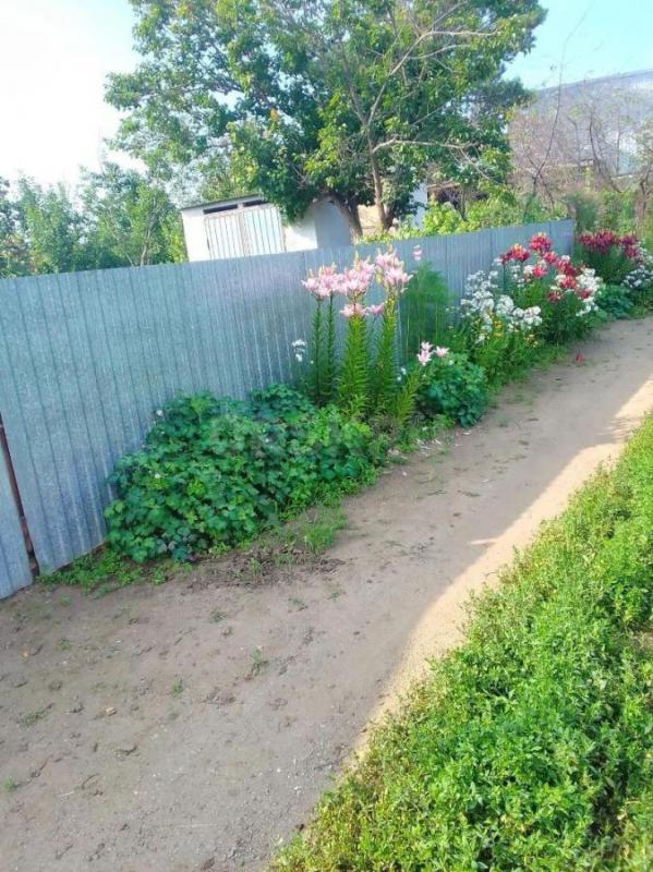 Продам дачу, в посёлке озтп, по улице рябиновая 273 - Орск