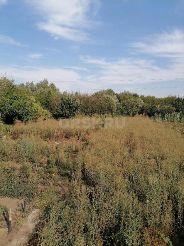 Продам сад 9 соток в СНТ. - Орск