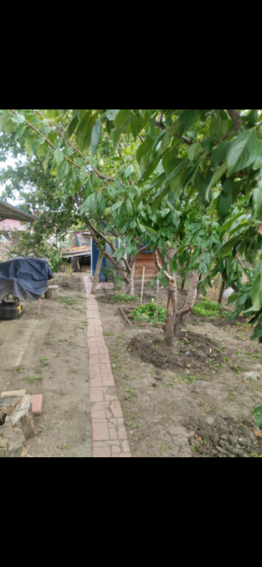 Продаю дачу в Губерле , двухэтажный домик, баня , беседка , веранда , своя скважина с питьевой водой - 1