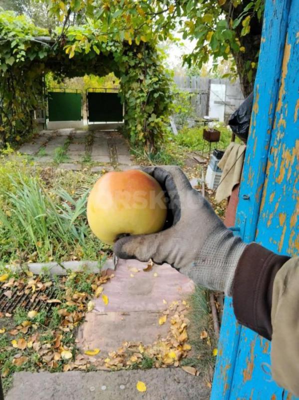 Продается дача, расположенная на участке 6 соток в СНТ (район второй садовой). - Орск