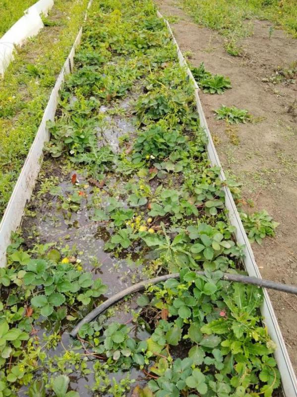 Продается дача, расположенная на участке 6 соток в СНТ (район второй садовой). - Орск
