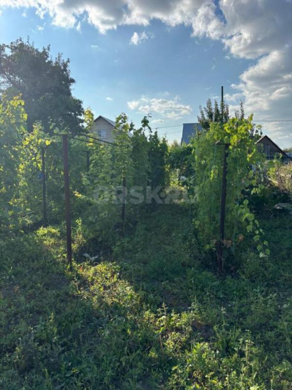 продам сад 6 соток, хорошее место для постройки дома, ул. - Орск