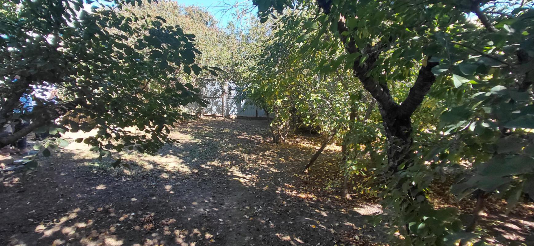 ID объекта в нашей базе: 368 - Оренбург