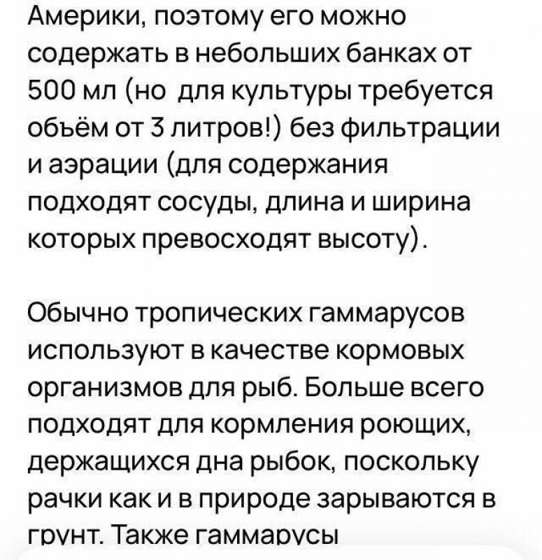Тропический гаммарус колония на развод 500₽ - Орск