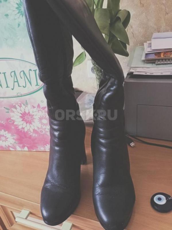 Продам плащ женский осень 48-50р, сапоги 38р - Орск