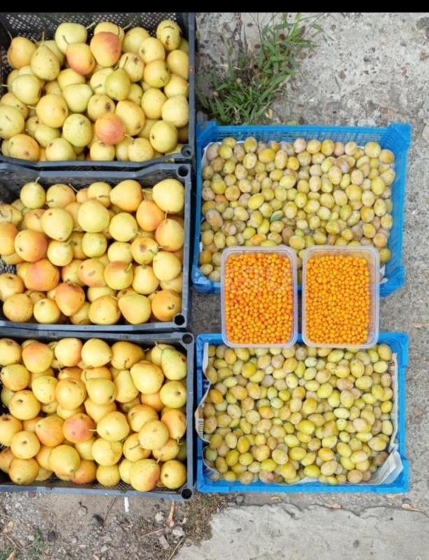 Продам в наличии!! сегодня! - Орск