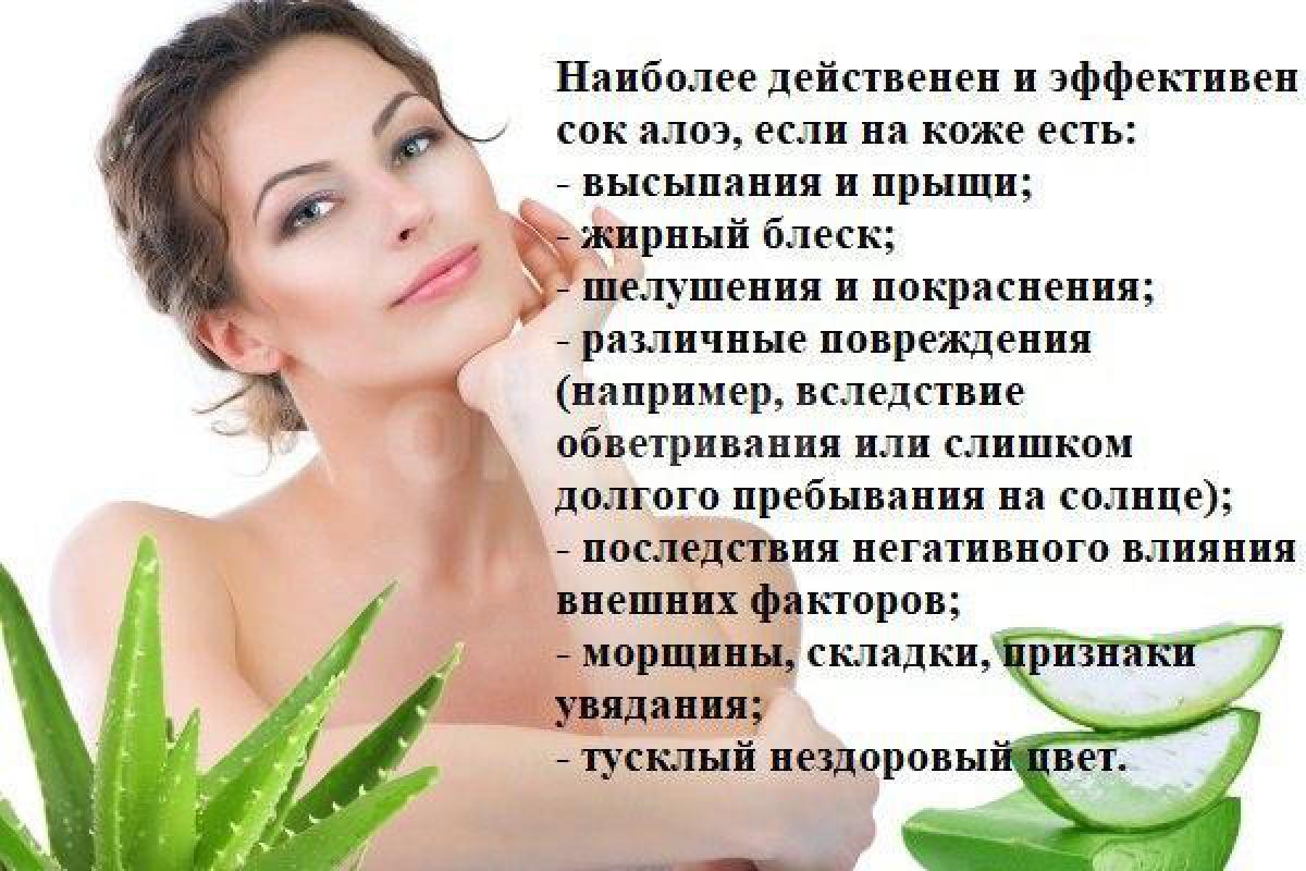 Алоэ Вера - лечебное домашнее чудо-растение, которое и ранки заживит, и кожу омолодит, и иммунитет у - Орск