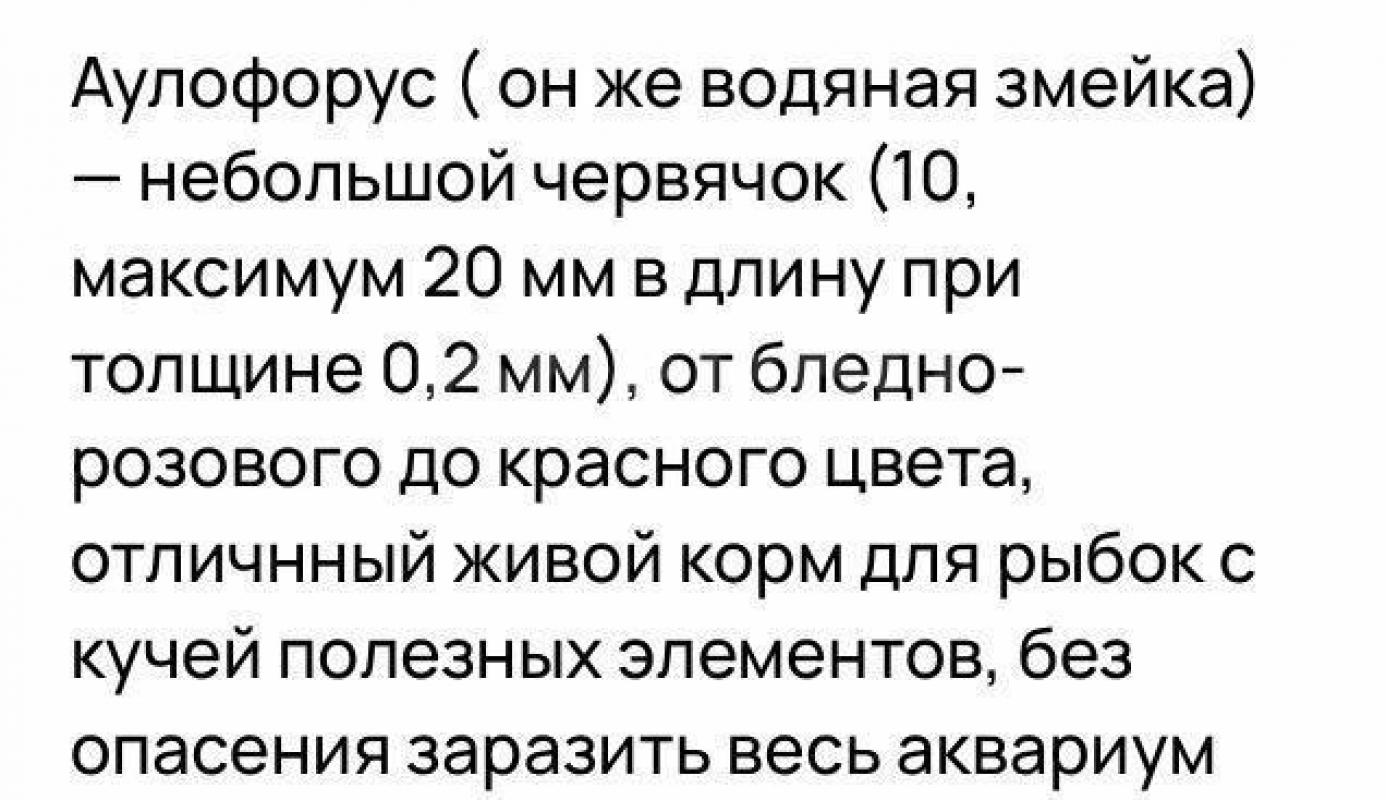 Аулорофорус корм для рыбок,на разогнаной губке.500₽ - Орск