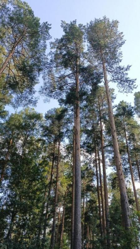 На производство  по изготовлению пластиковых труб требуются работники по сменному графику 12часов в - Орск